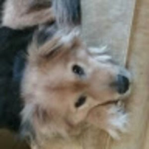 Meet your Posher, Steveandvalerie